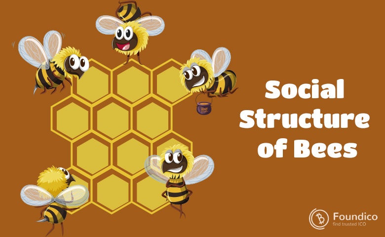 An Analysis of the Social Life of Bees 
